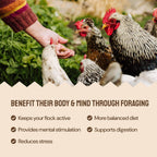 Back of Hatortempt chicken feed packaging with ingredients list