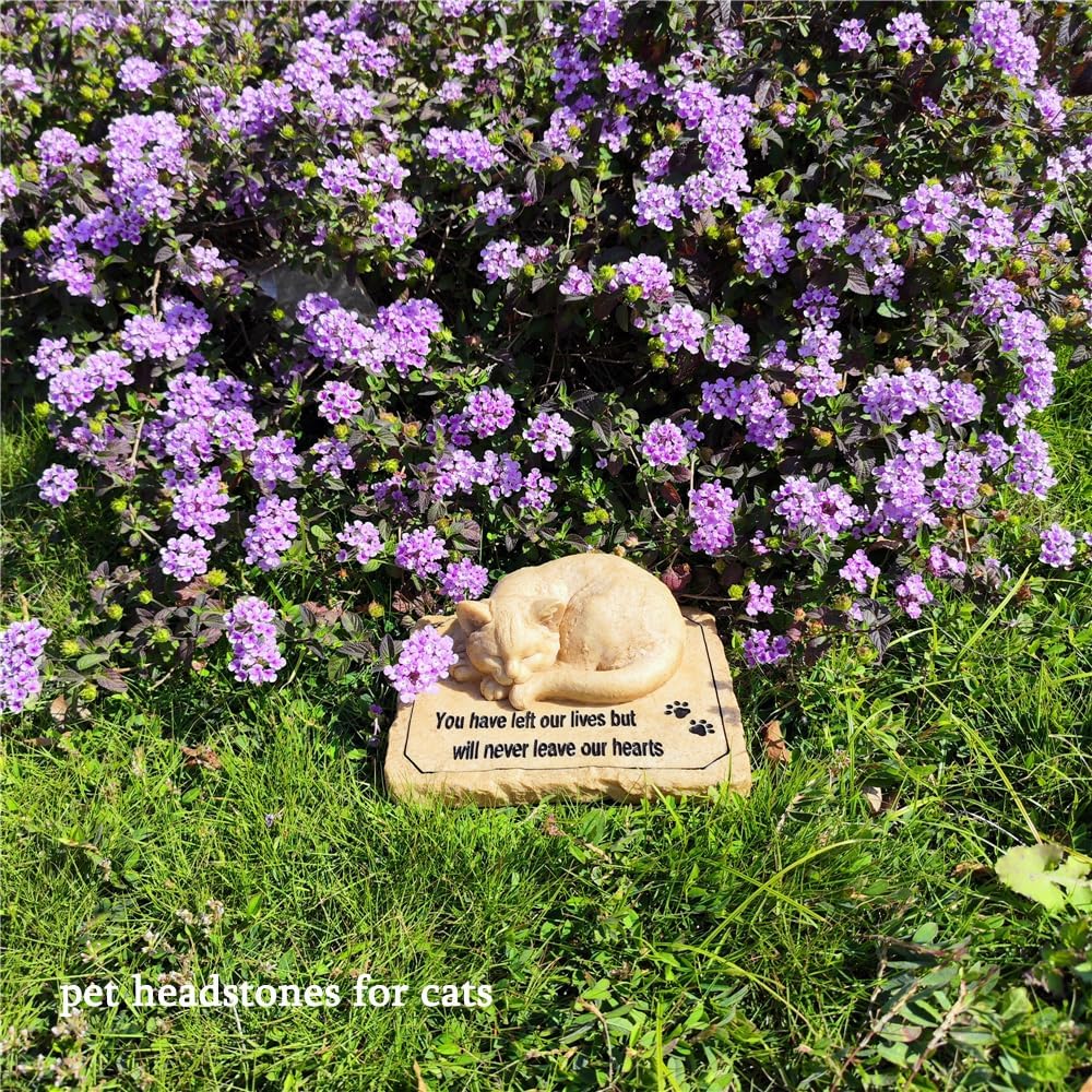 Packaging and complete presentation of the Carchistan cat memorial marker