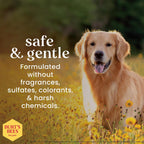Burt's Bees dog grooming wipes packaging detail