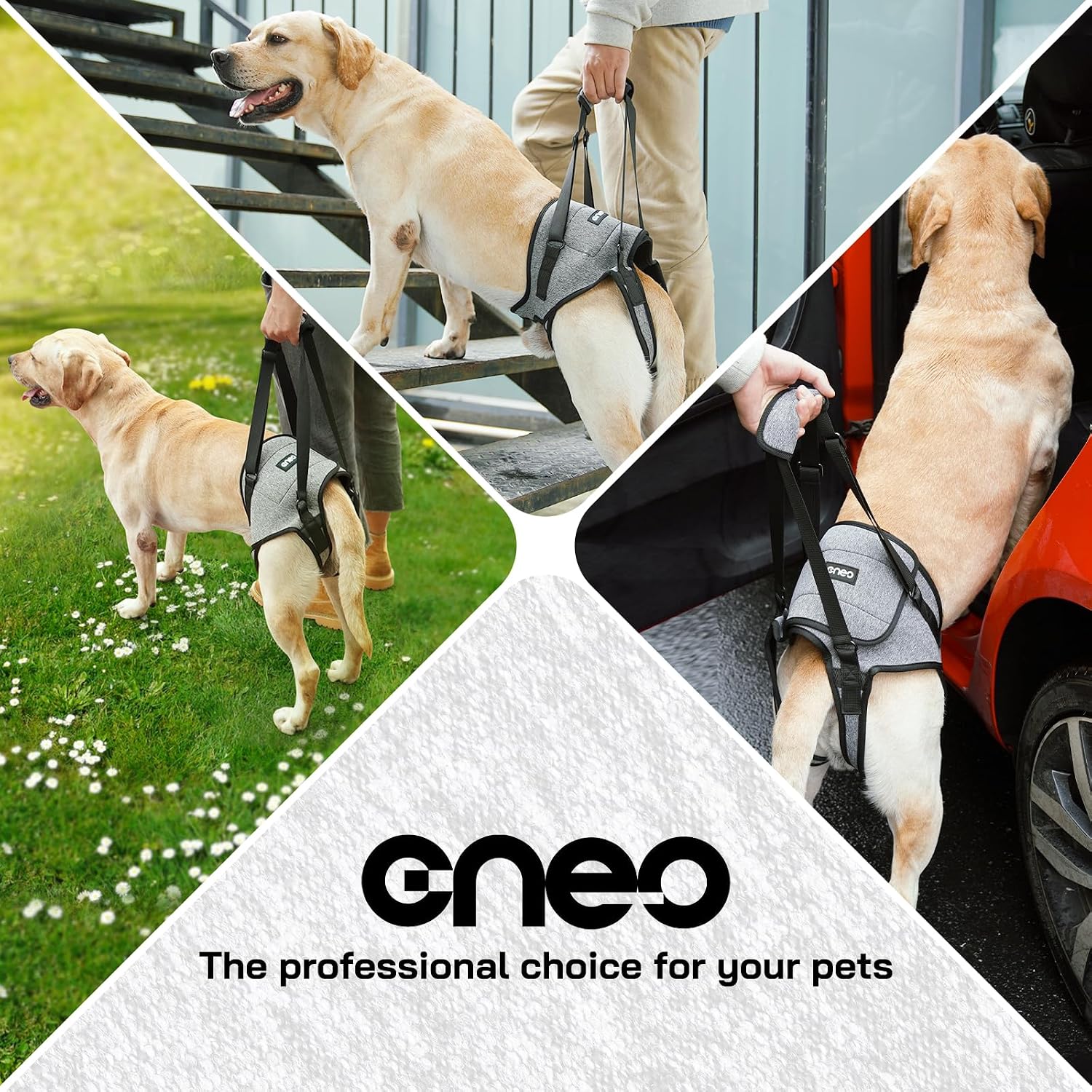 Side profile of Cneo pet support harness with handle