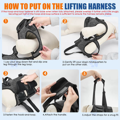 SlowTon Dog Lift Harness - Adjustable Dog Sling for Medium Large Dogs, Hind Leg Support to Help Rehabilitate, Soft Padded Dog Support Harness for Elderly, Injured, Arthritic, Disabled Dogs, XL - Image 9