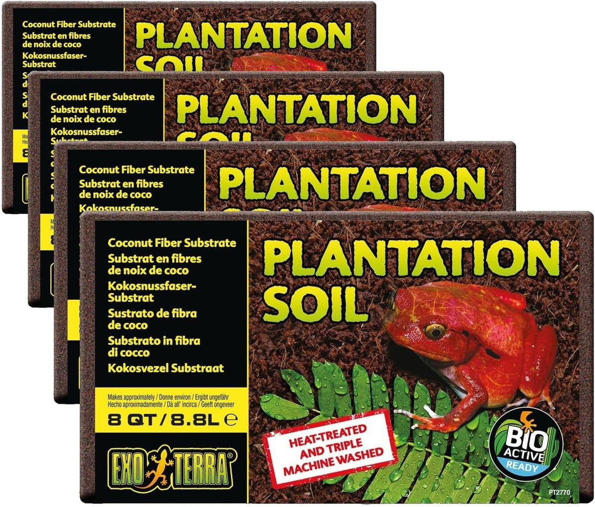 Exo Terra Plantation Soil, 8 Qt (8.8 L) - 100% Natural Terrarium Substrate | Increases Humidity, Stimulates Digging & Burrowing | Ideal for Natural Terrarium Setups & Live Plants - Image 11