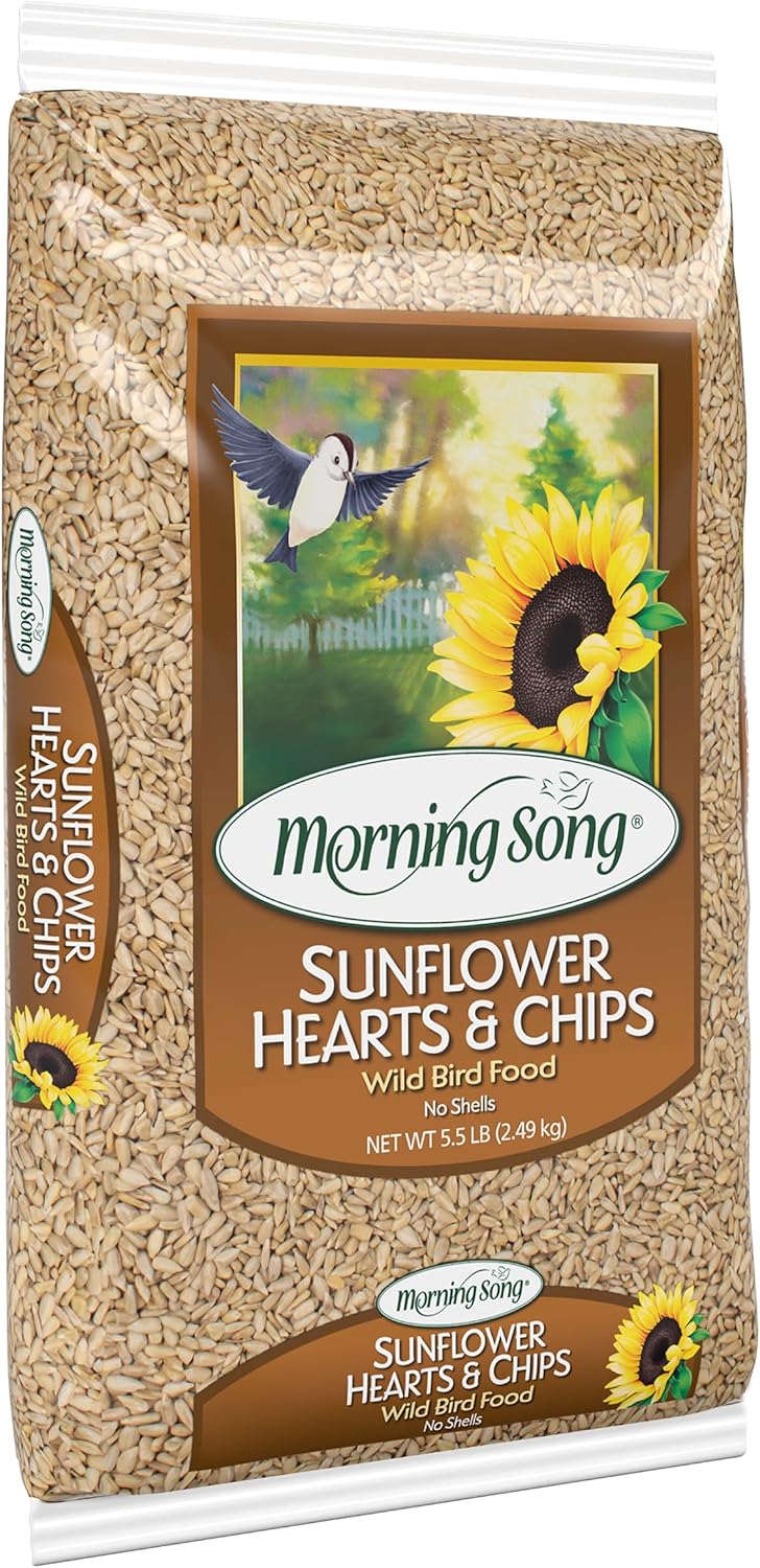Close-up view of shell-free sunflower kernel chips for wild birds
