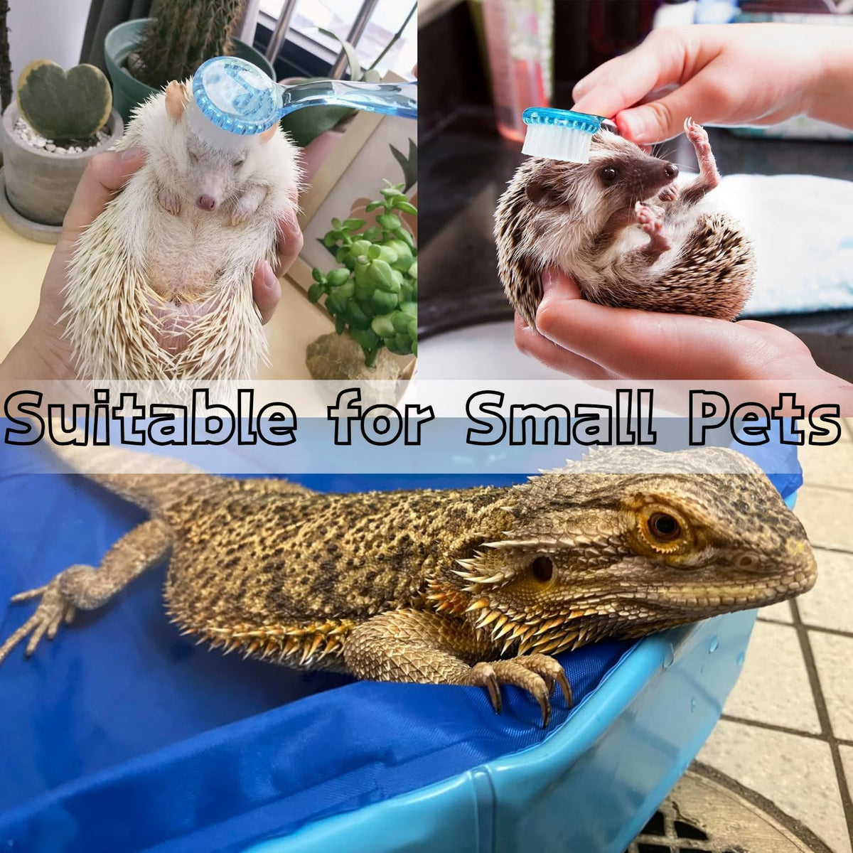 Ttmimik reptile cleaning kit for hedgehogs and turtles