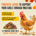 Roosty's Chicken Nesting Herbs Chili Mix, Coop Refresher, 16oz - Image 2