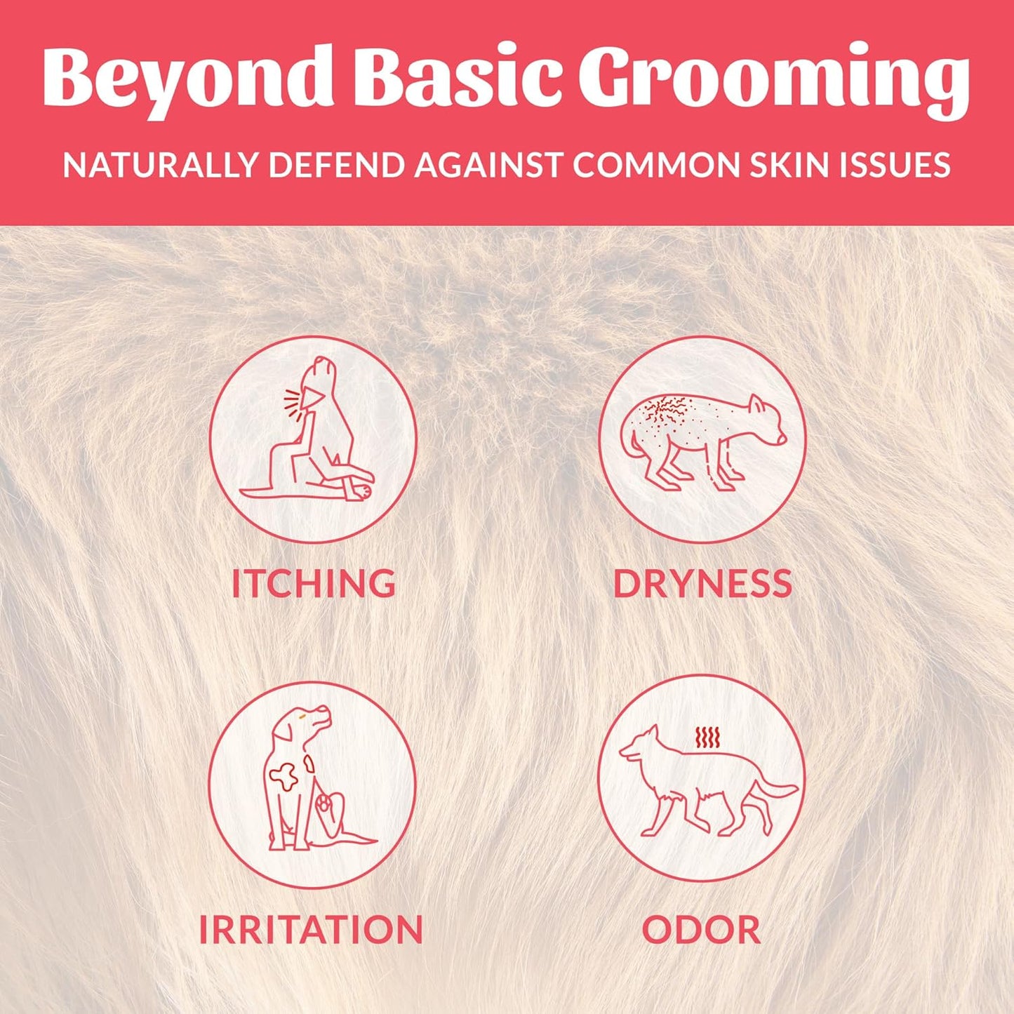 Back of Skout's Honor pet deodorizer bottle showing ingredients and usage