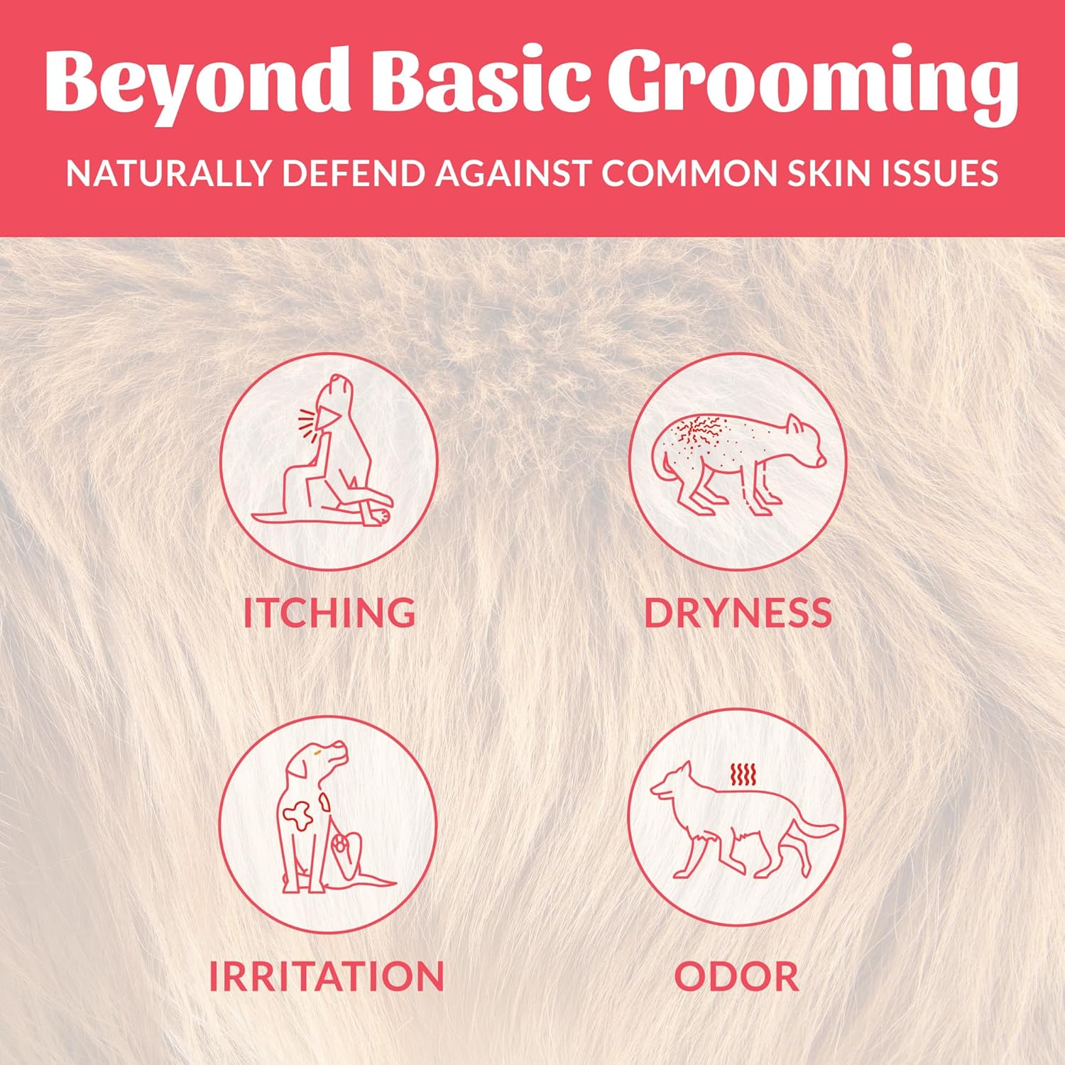 Back of Skout's Honor pet deodorizer bottle showing ingredients and usage