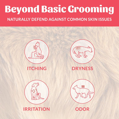 Back of Skout's Honor pet deodorizer bottle showing ingredients and usage