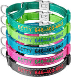 Heavy duty personalized martingale collar for large and medium breeds