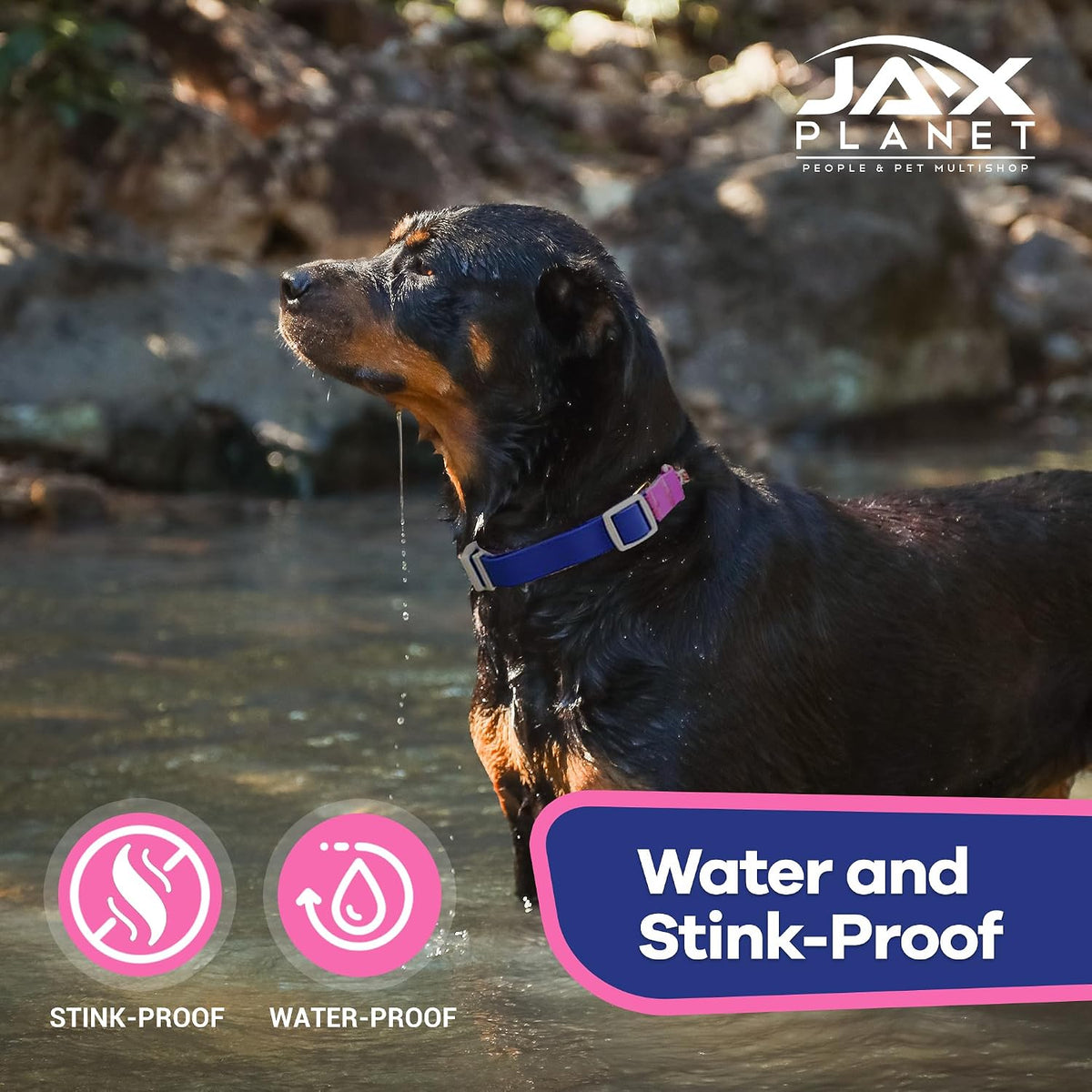 Stink proof and rust resistant martingale pet accessory showing the smooth texture of the luxury jelly coated strap
