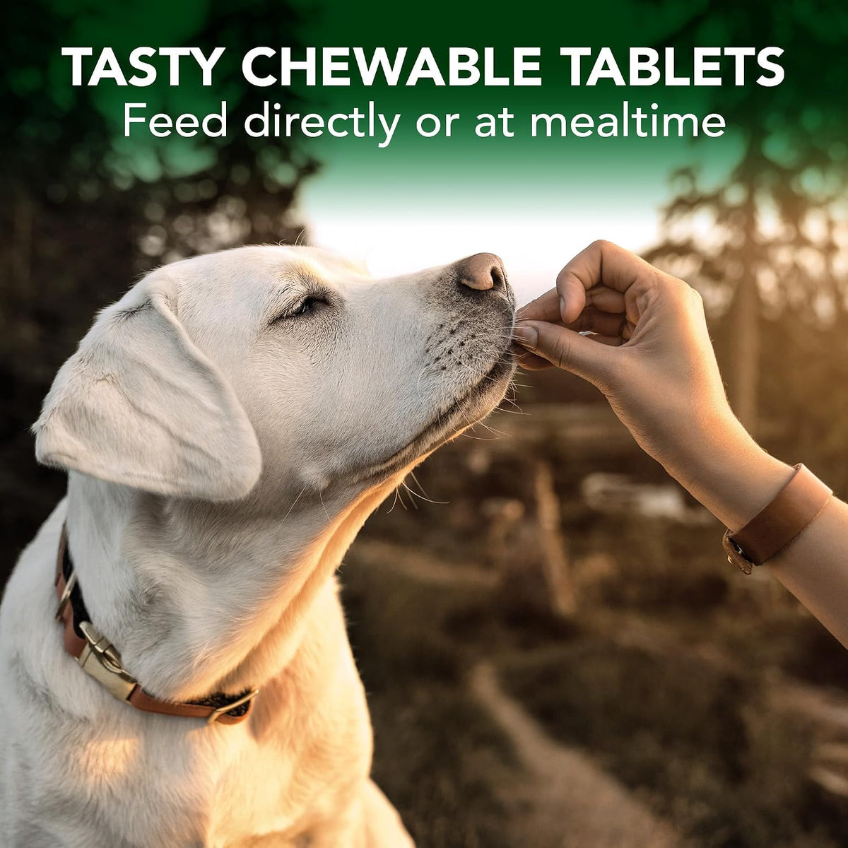 Authentic Vet's Best seasonal allergy relief for dogs