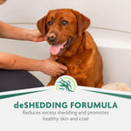 FURminator Ultra Premium shampoo bottle next to grooming brush