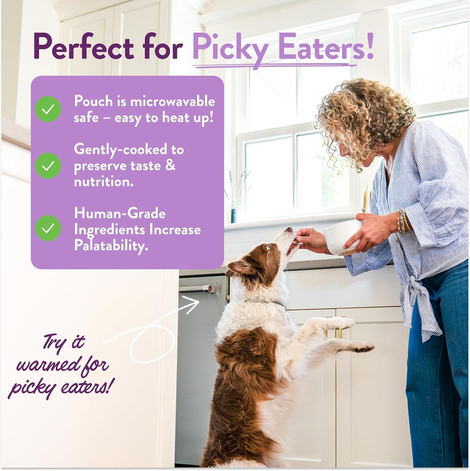 Authentic Portland Pet Food Company 5 pack premium wet dog mixers