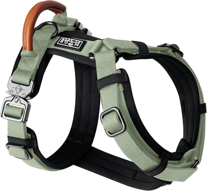 MADE TO ROAM Premium Explorer Harness - Y-Shaped Dog Harness with Adjustable Durable Nylon, Soft Padding, Metal Buckles and Leather Handle for Small, Medium, Large Dogs (Vermont Weekends, Size 4) - Image 10