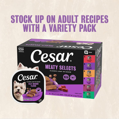 Cesar Classic Loaf in Sauce Adult Wet Dog Food Filet Mignon, 3.5 oz. Easy Peel Trays, 24 Count (Pack of 1) - Image 12