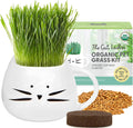 The Cat Ladies Organic Cat Grass Growing Kit front view showing the white cat planter with fully grown fresh green pet grass.