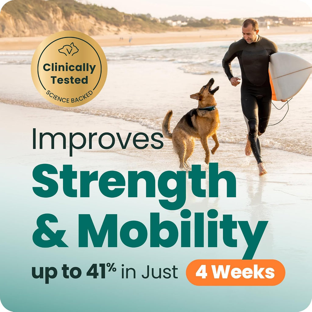 VetriScience hip and joint care glucosamine chondroitin for senior dogs