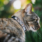 Adjustable safety pet collar with breakaway plastic clip and metal bell close up