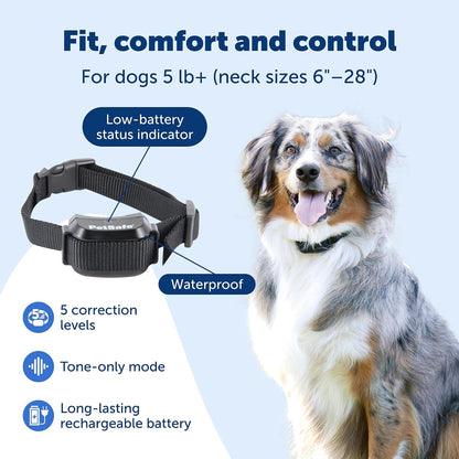 PetSafe in ground pet fence receiver collar fitting demonstration on an adjustable strap