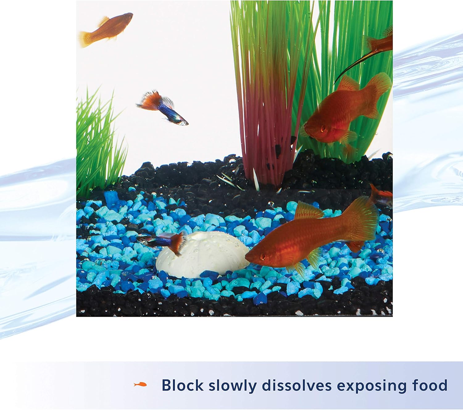 Aqueon aquarium vacation food block unboxed showing durable formulation for seven days