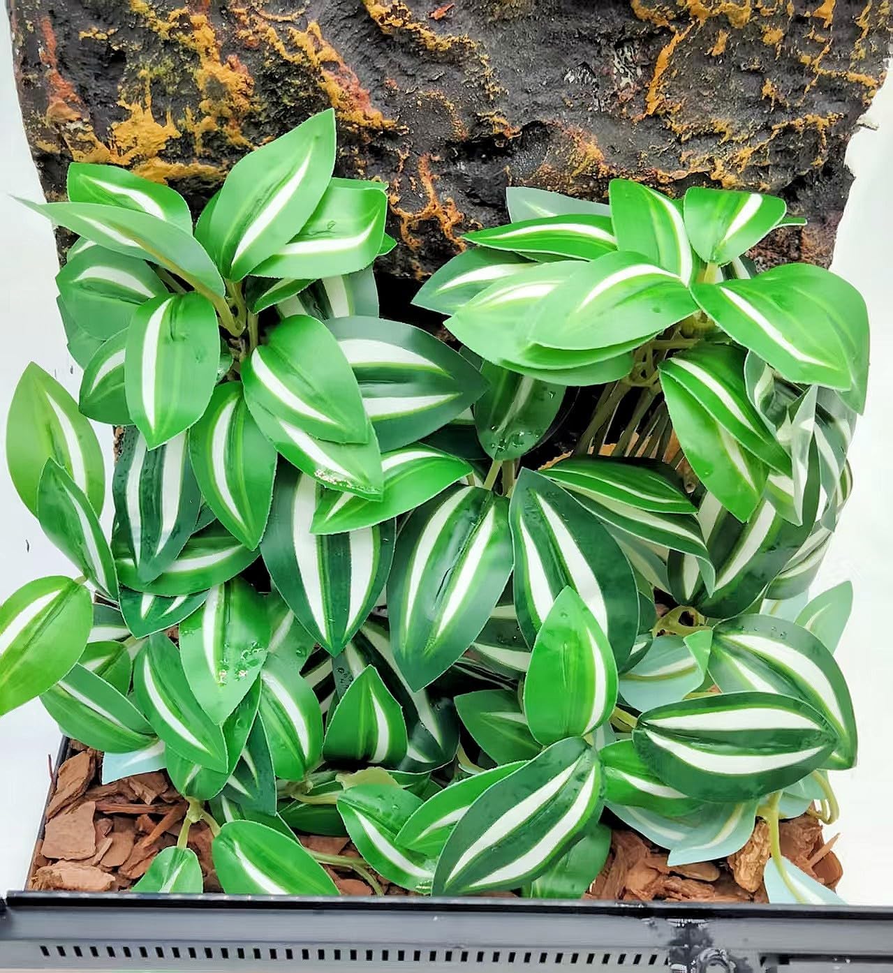 Reptile Plants for Terrarium Decor, Amphibian Habitat Decor, Snake Tank Accessories, Artificial Hanging Plants with Suction Cup-2 Packs (Fake Monstera) - Image 12