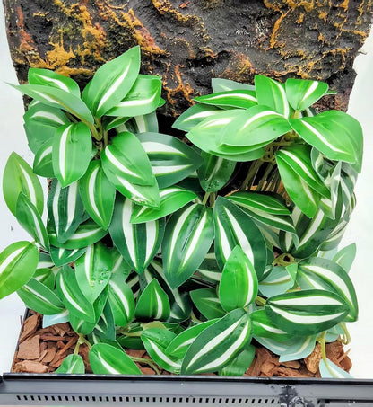 Reptile Plants for Terrarium Decor, Amphibian Habitat Decor, Snake Tank Accessories, Artificial Hanging Plants with Suction Cup-2 Packs (Fake Monstera) - Image 12
