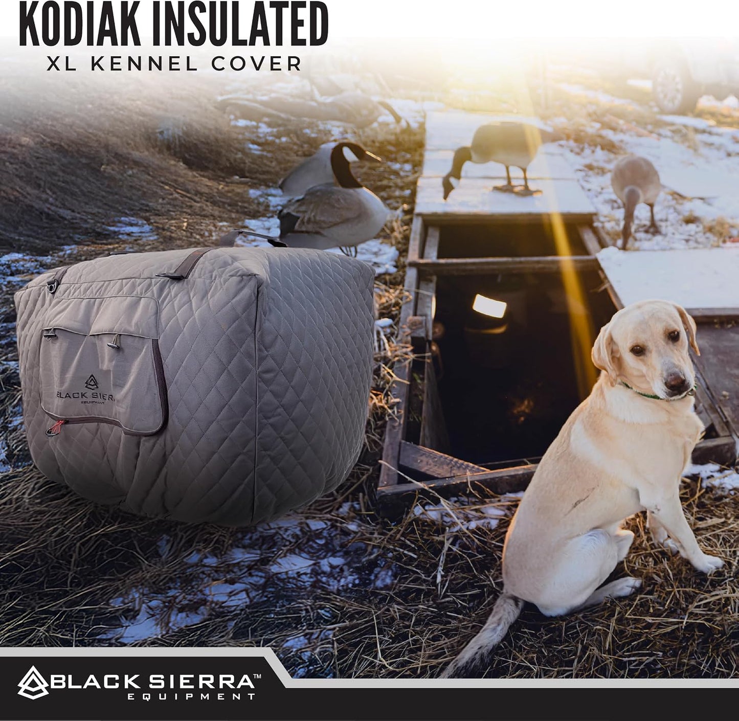 Black Sierra pet kennel cover displaying the integrated tie-down D-rings for transport security