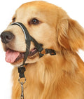 Barkless dog head collar front view black large halter