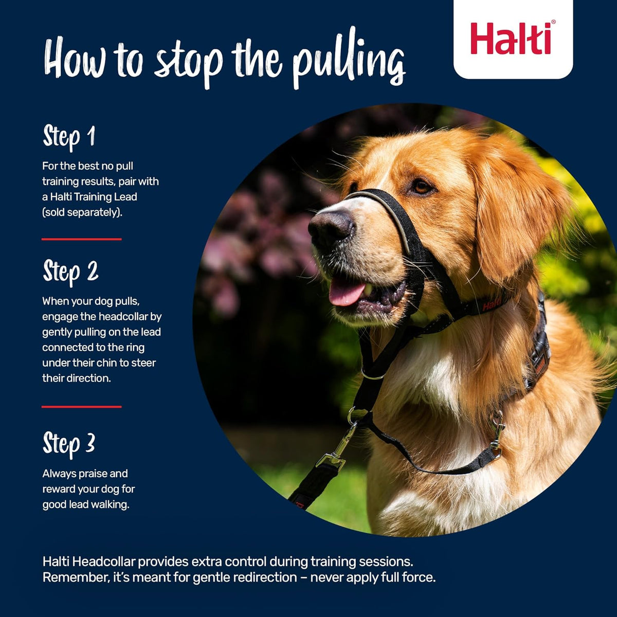 Halti no pull dog halter highlighting safety link and plastic buckle placement