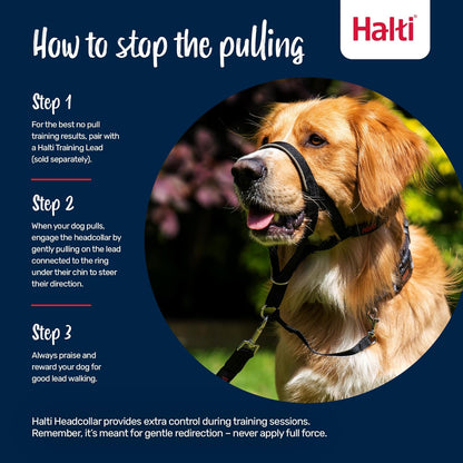 Halti no pull dog halter highlighting safety link and plastic buckle placement