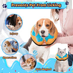 Grand Line dog cone alternative blue medium size worn by a puppy