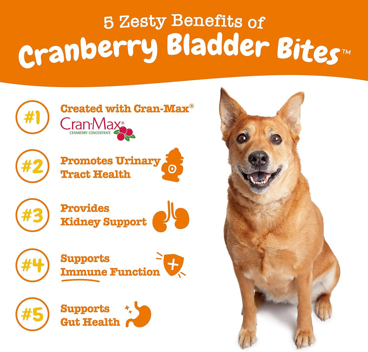 Zesty Paws urinary tract support chews label and ingredients list