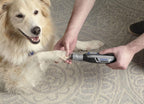 Safe claw trimming angle demonstration using Dremel PawControl guard