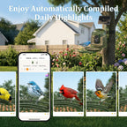 Smart Bird Feeder with Camera Solar Powered, Auto Capture 2.5K Videos - Image 7