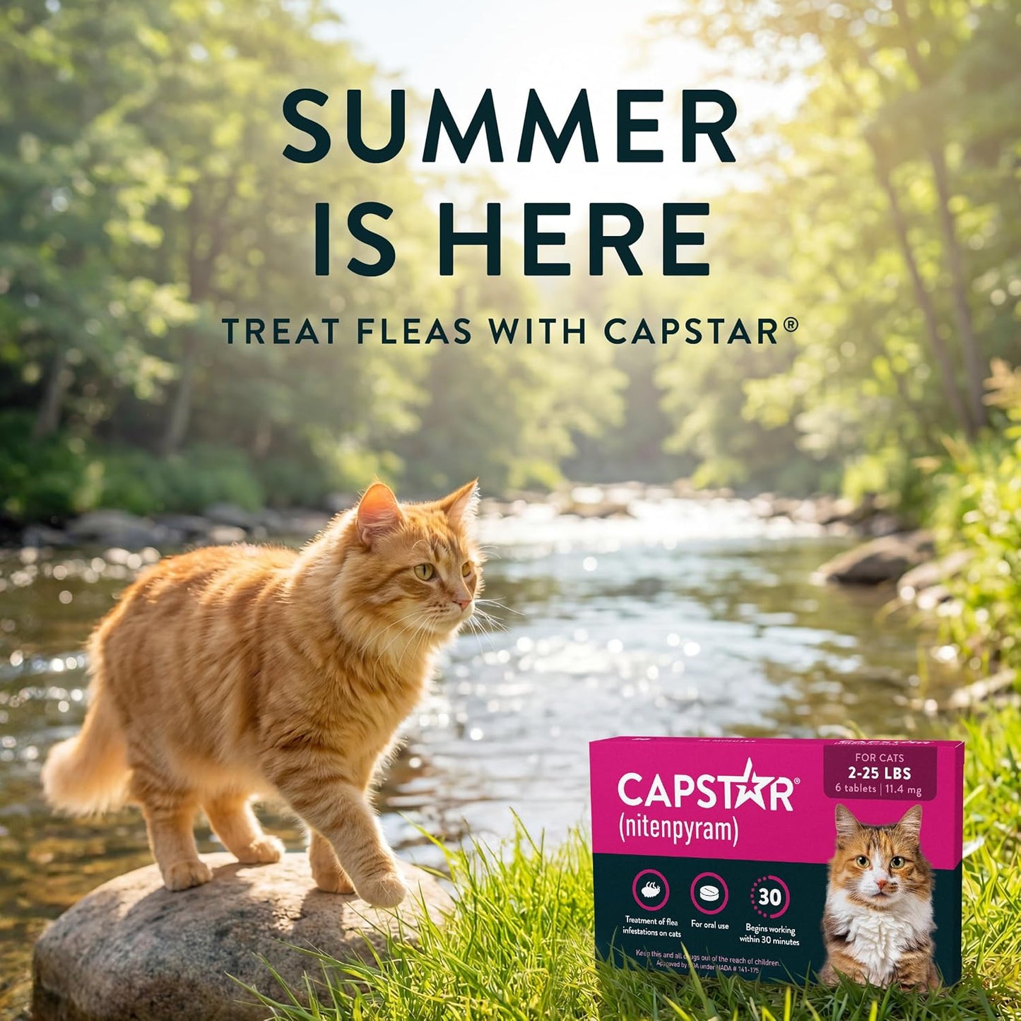 Capstar (nitenpyram) Cat Flea Treatment, Fast-Acting Oral Flea Treatment for Cats 2-25 lbs, Vet-Recommended Medication Tablets Start Killing in 30 Minutes, 6 Doses - Image 9