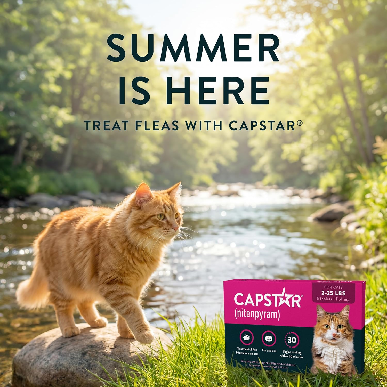 Capstar (nitenpyram) Cat Flea Treatment, Fast-Acting Oral Flea Treatment for Cats 2-25 lbs, Vet-Recommended Medication Tablets Start Killing in 30 Minutes, 6 Doses - Image 9