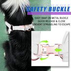 Close up of rose gold metal hardware on AaufiLux dog harness