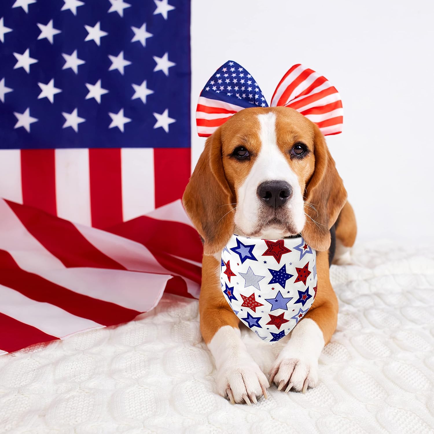Pohshido USA imported festive pet accessories collection packaging look