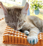 SGS certified anti scratch cat claw protectors close up