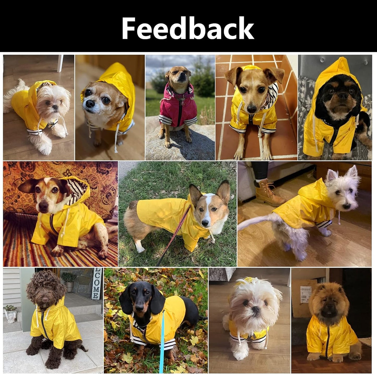 Morezi weatherproof puppy coat zip closure adjustment