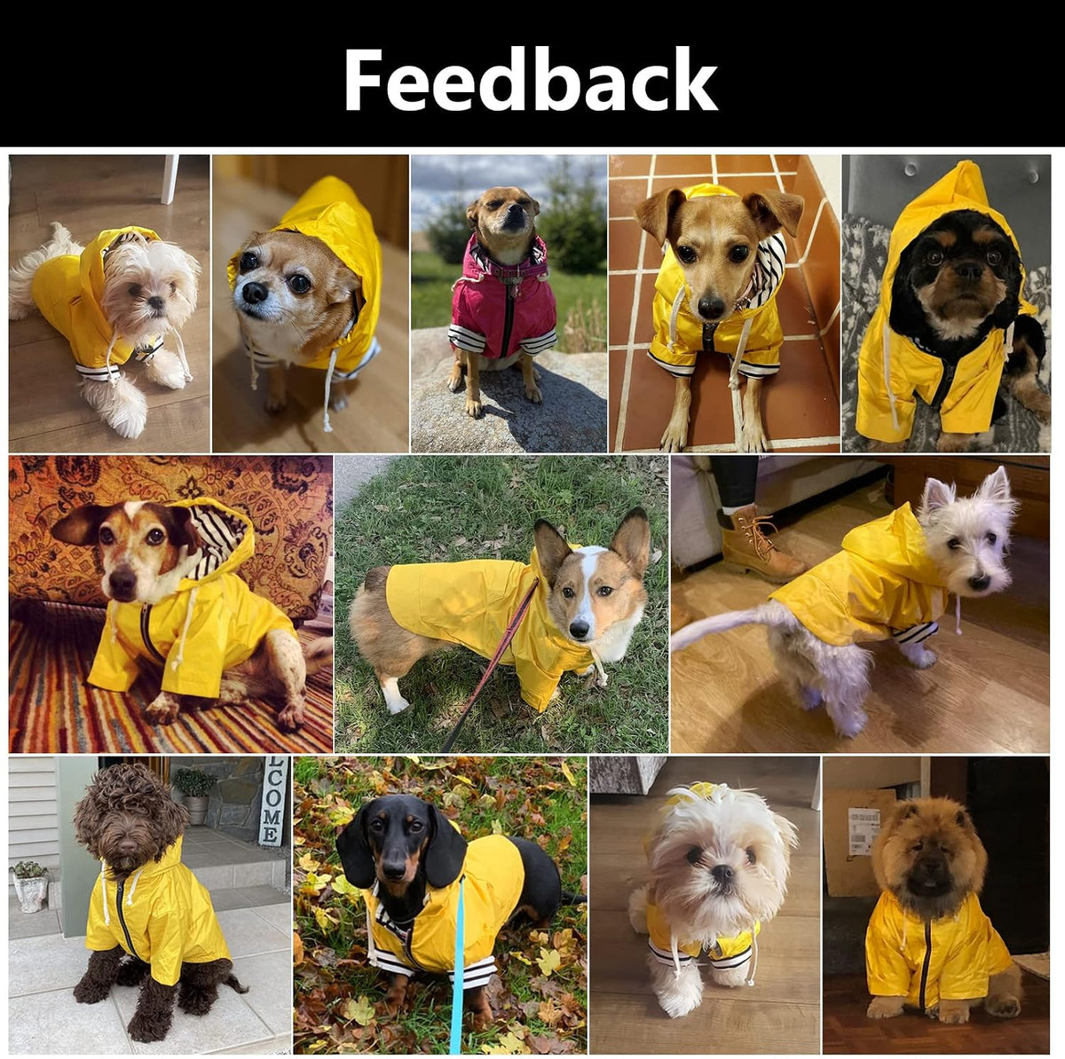 Morezi weatherproof puppy coat zip closure adjustment