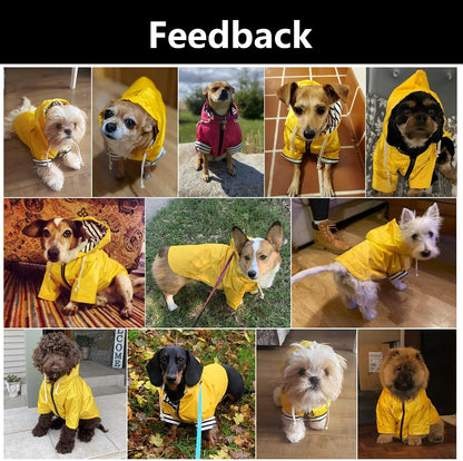 Morezi weatherproof puppy coat zip closure adjustment