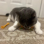 SPOT Kitty Fun Tubes Cat Toy with Catnip Inside | Bouncy Interactive Mesh Toy for Cats and Kittens to Bite, Swat and Chase | 3 Pieces - Image 10