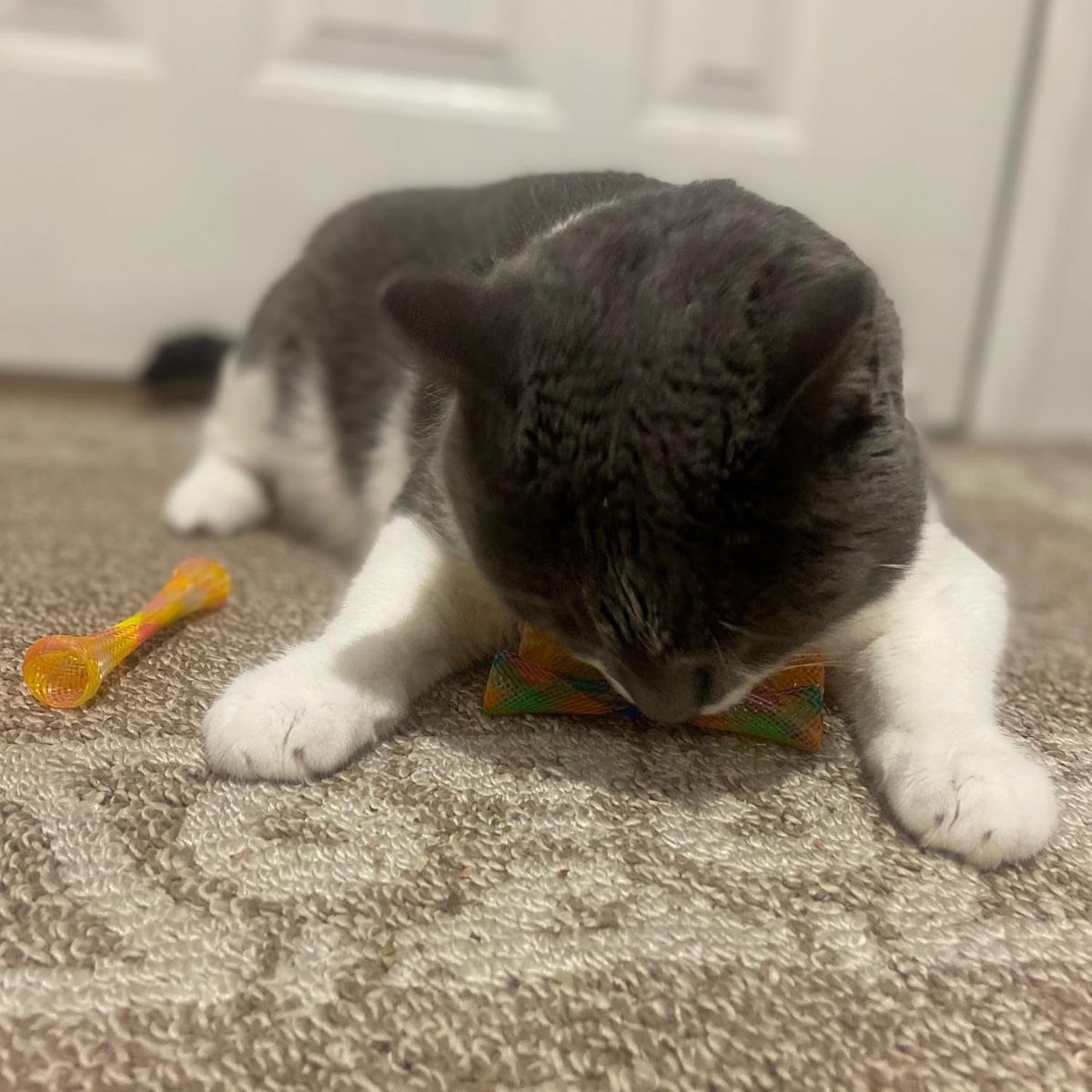 SPOT Kitty Fun Tubes Cat Toy with Catnip Inside | Bouncy Interactive Mesh Toy for Cats and Kittens to Bite, Swat and Chase | 3 Pieces - Image 10