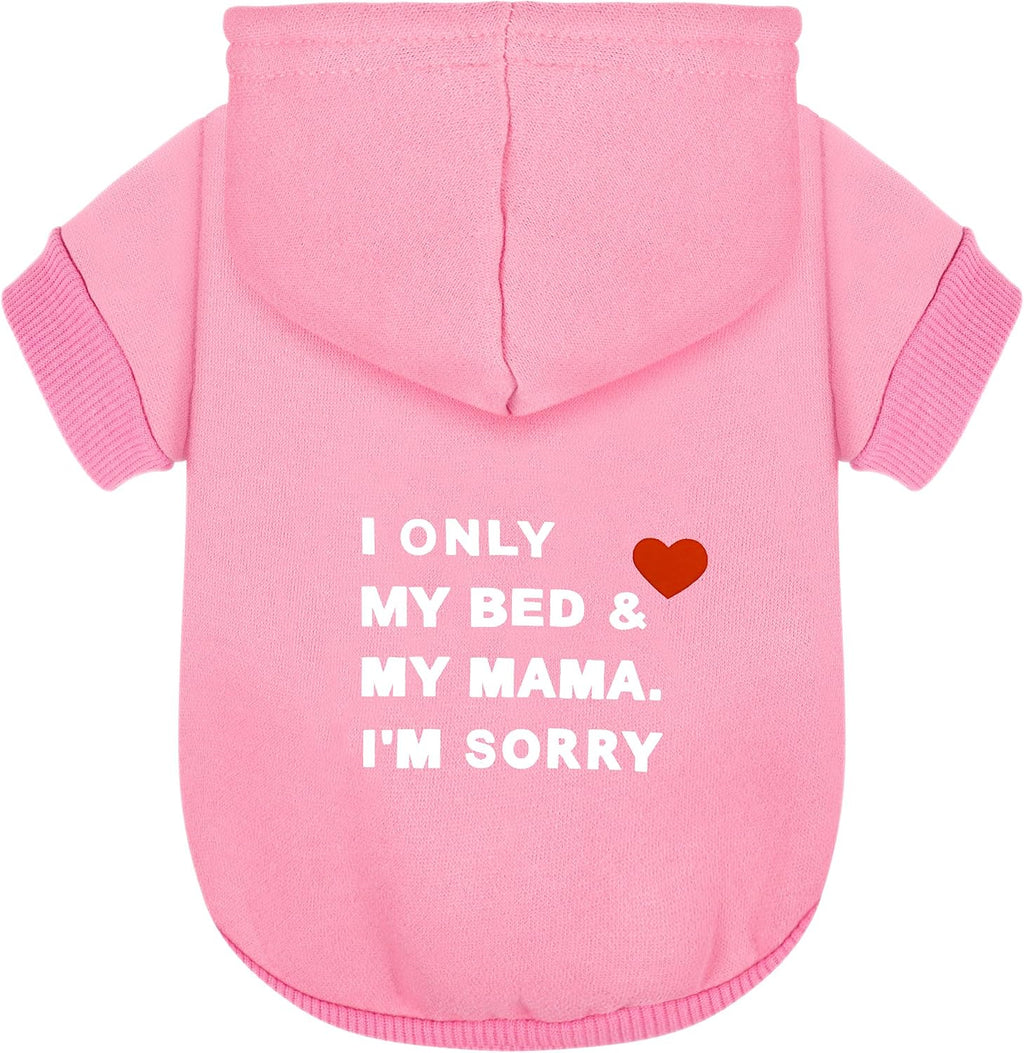 Paiaite imported premium puppy hoodie high quality fabric texture