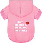 Paiaite imported premium puppy hoodie high quality fabric texture