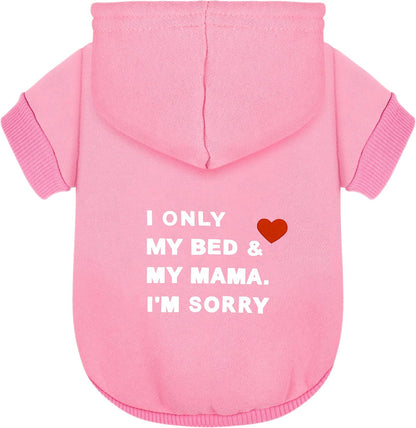 Paiaite imported premium puppy hoodie high quality fabric texture