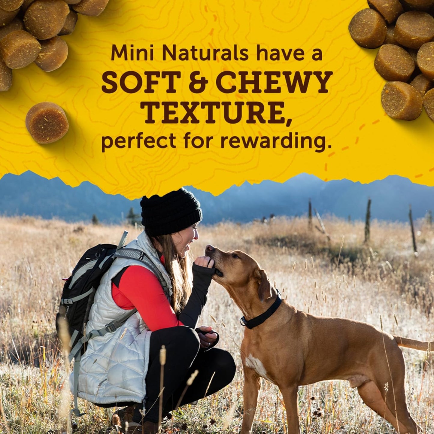 USA imported Zuke's dog snacks packaging details back view