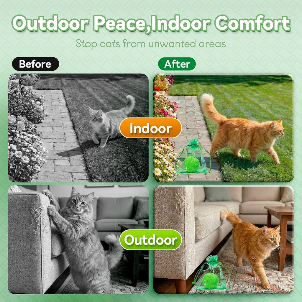 Using Pemoo natural cat repellent for indoor furniture protection