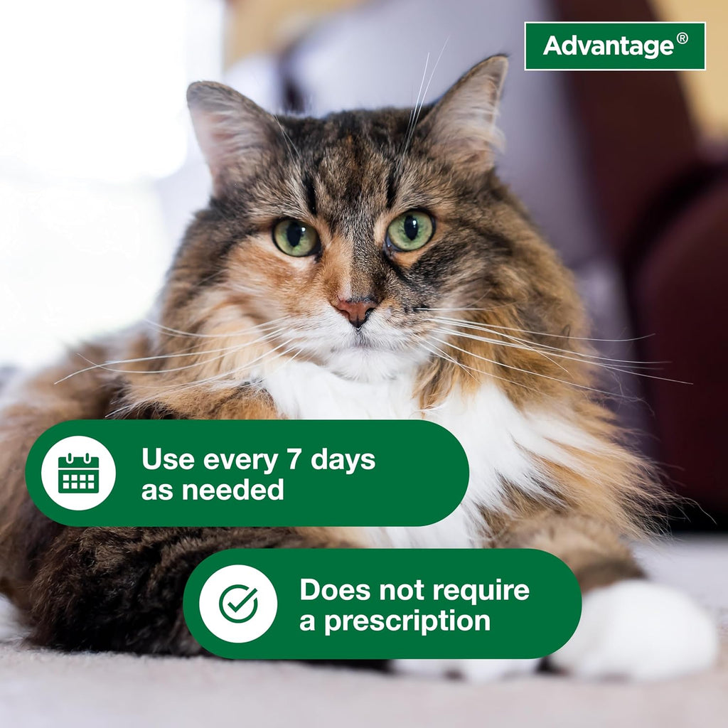 Advantage pet care formula for kittens and adult cats